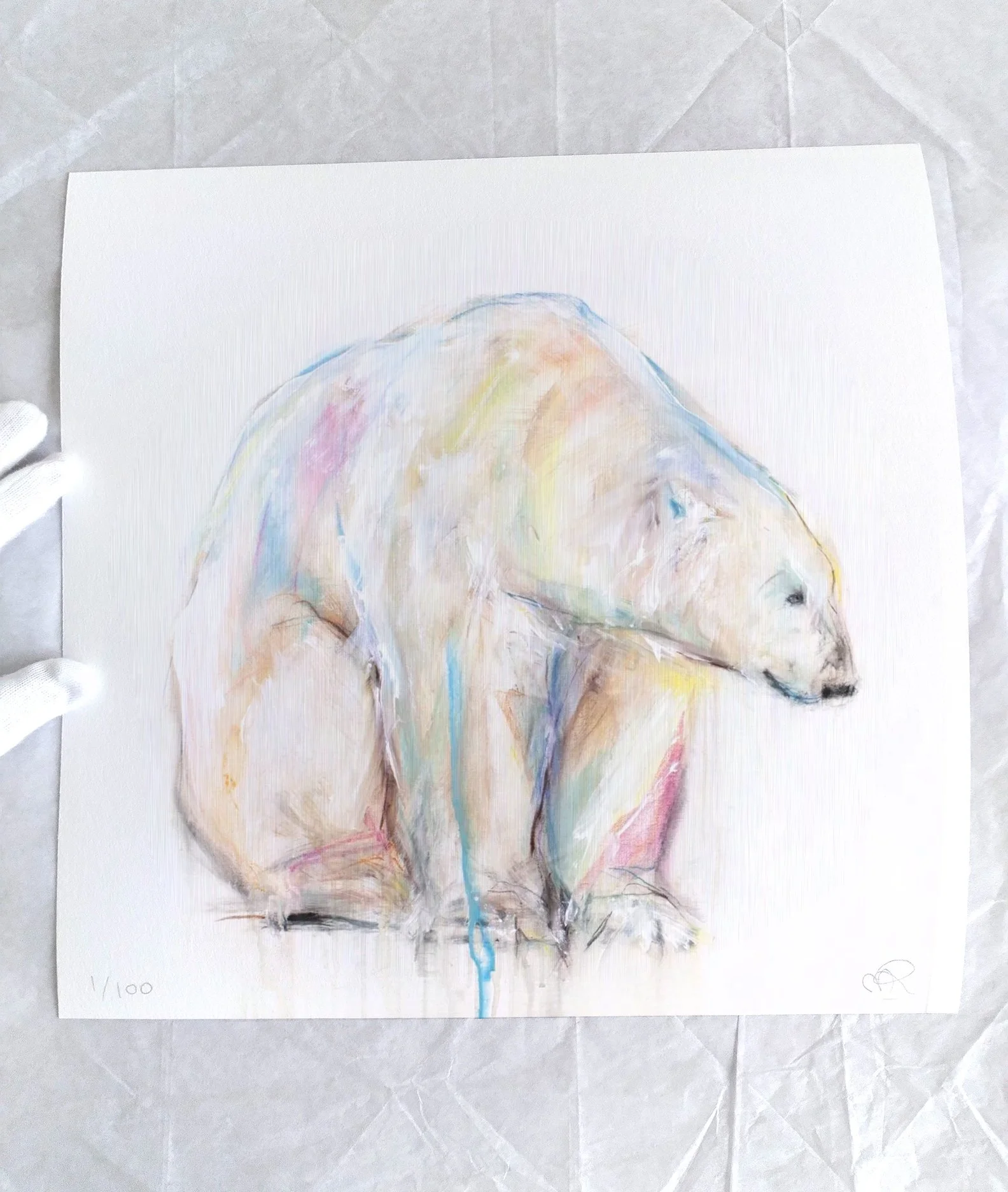 Polar+Bear+XLII_printimage3.jpg