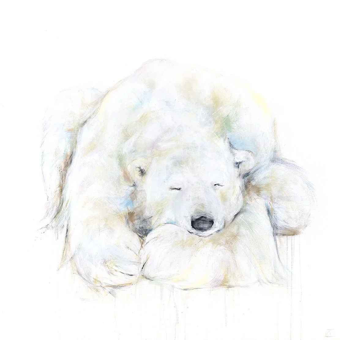Polar+Bear+LXII_1111.webp