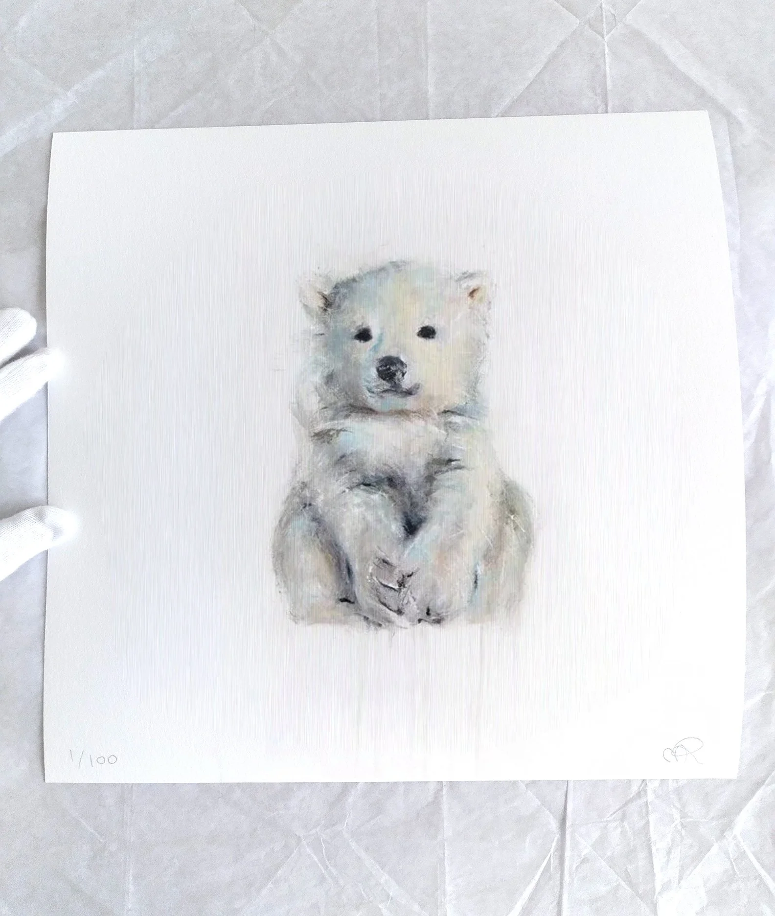 Polar+Bear+XV_printimage3.jpg