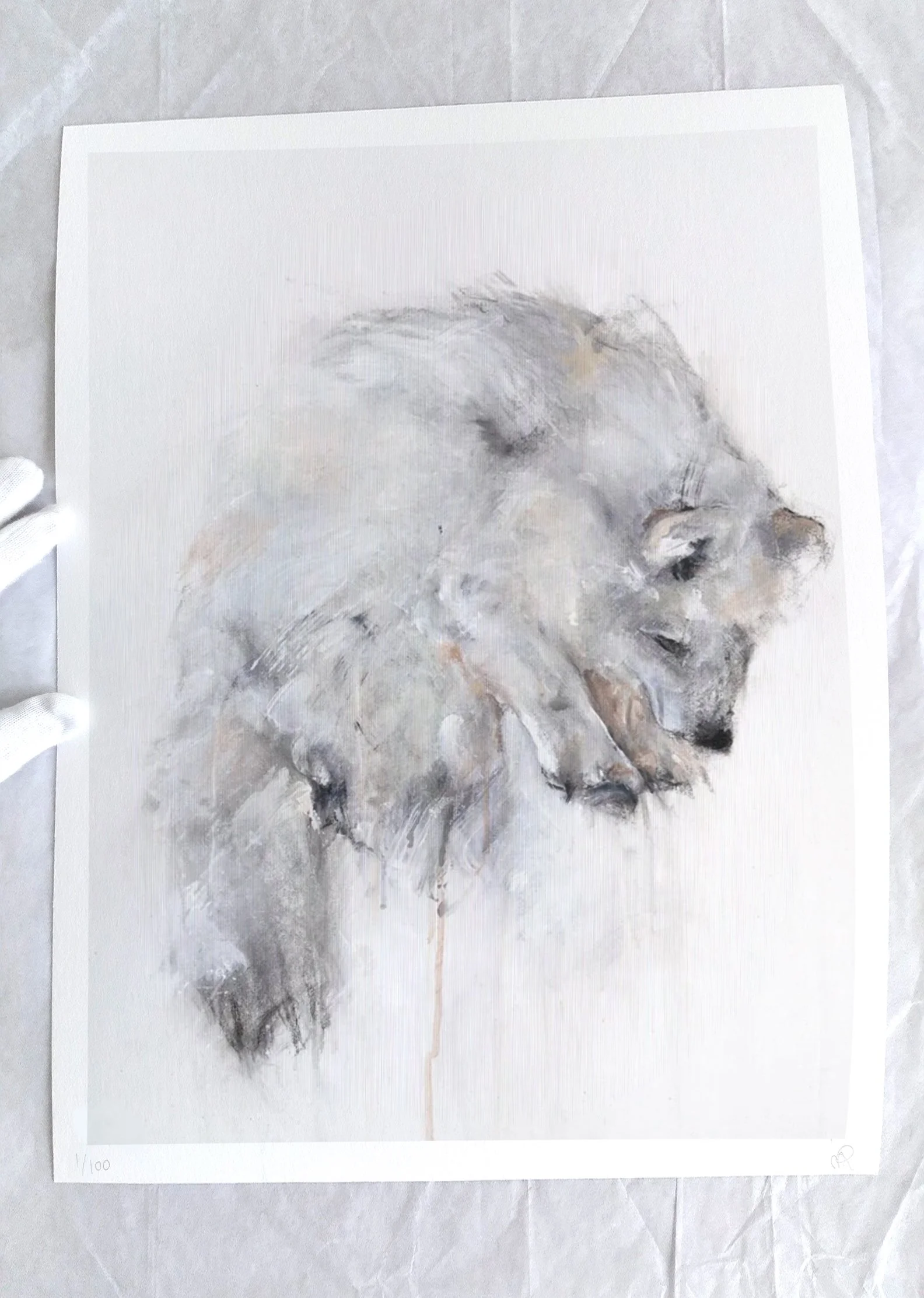 Arctic Fox II_printimage2.jpg