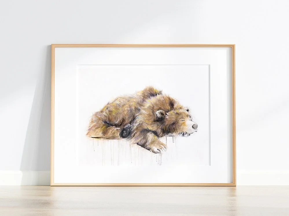 Grizzly+Bear+XII_printimage22.jpg