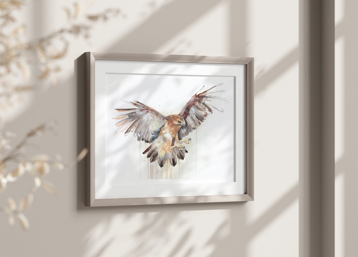 Hawk I_printiimage3.jpg