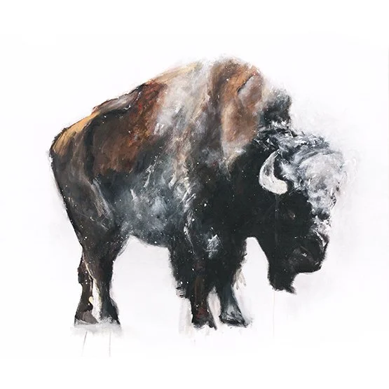 Bison+XIV_printimage.jpg