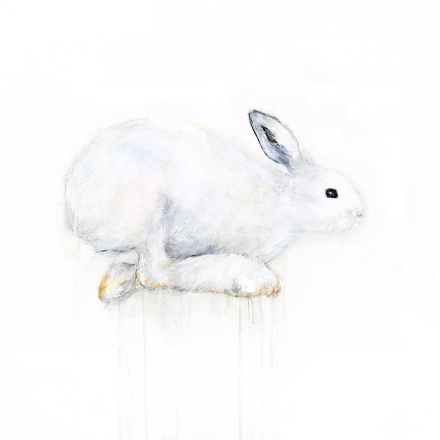 Snowshoe+Hare+IX_printimage.jpg