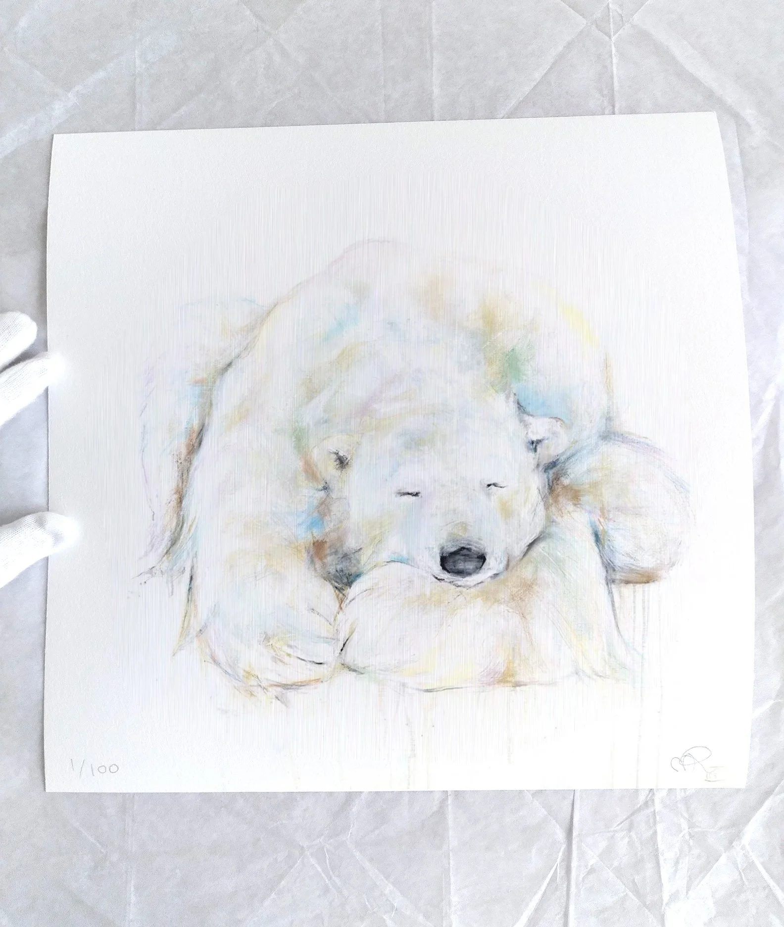 Polar+Bear+LXII_printimage3.jpg