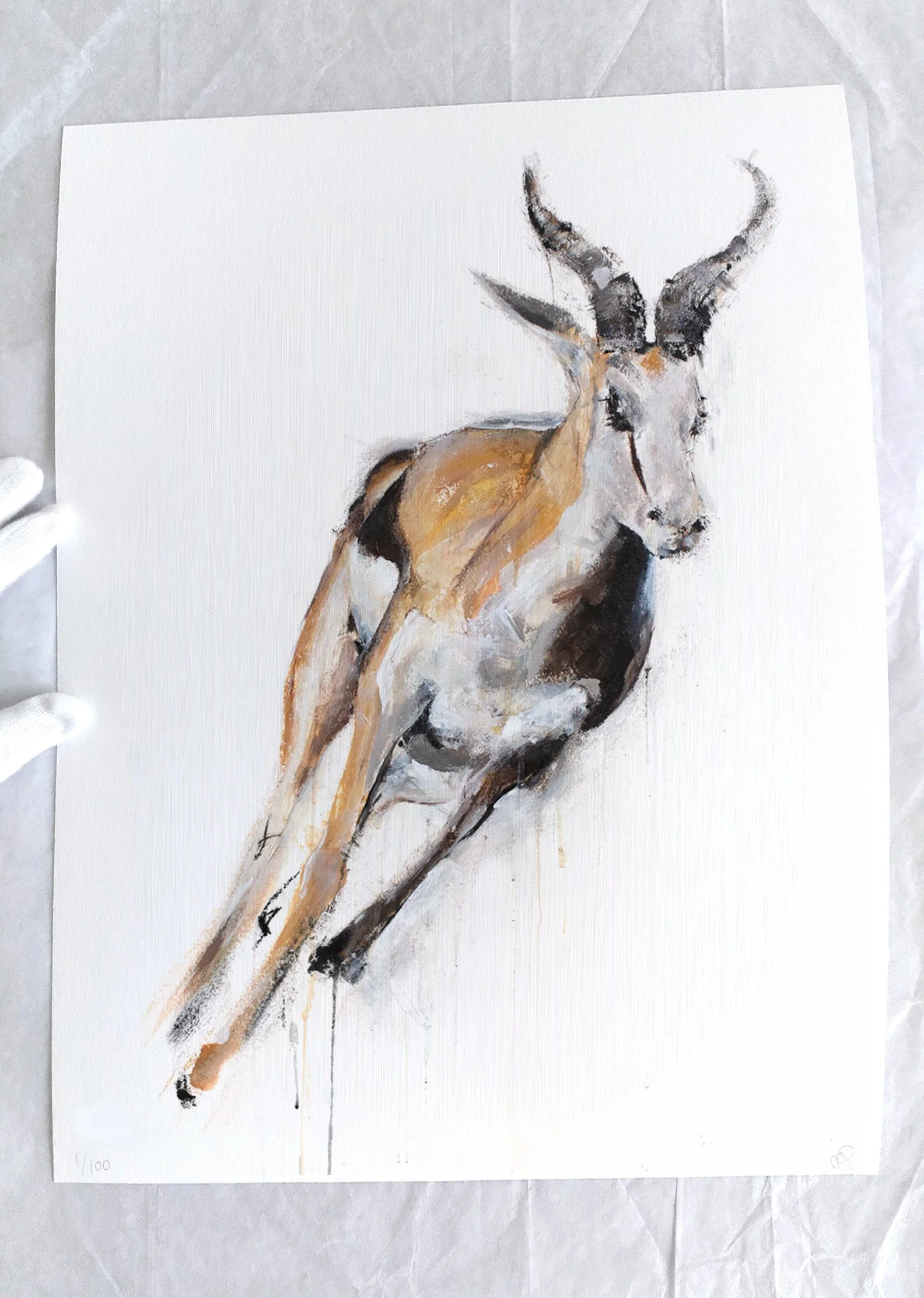 Gazelle 1_printimag4.jpg