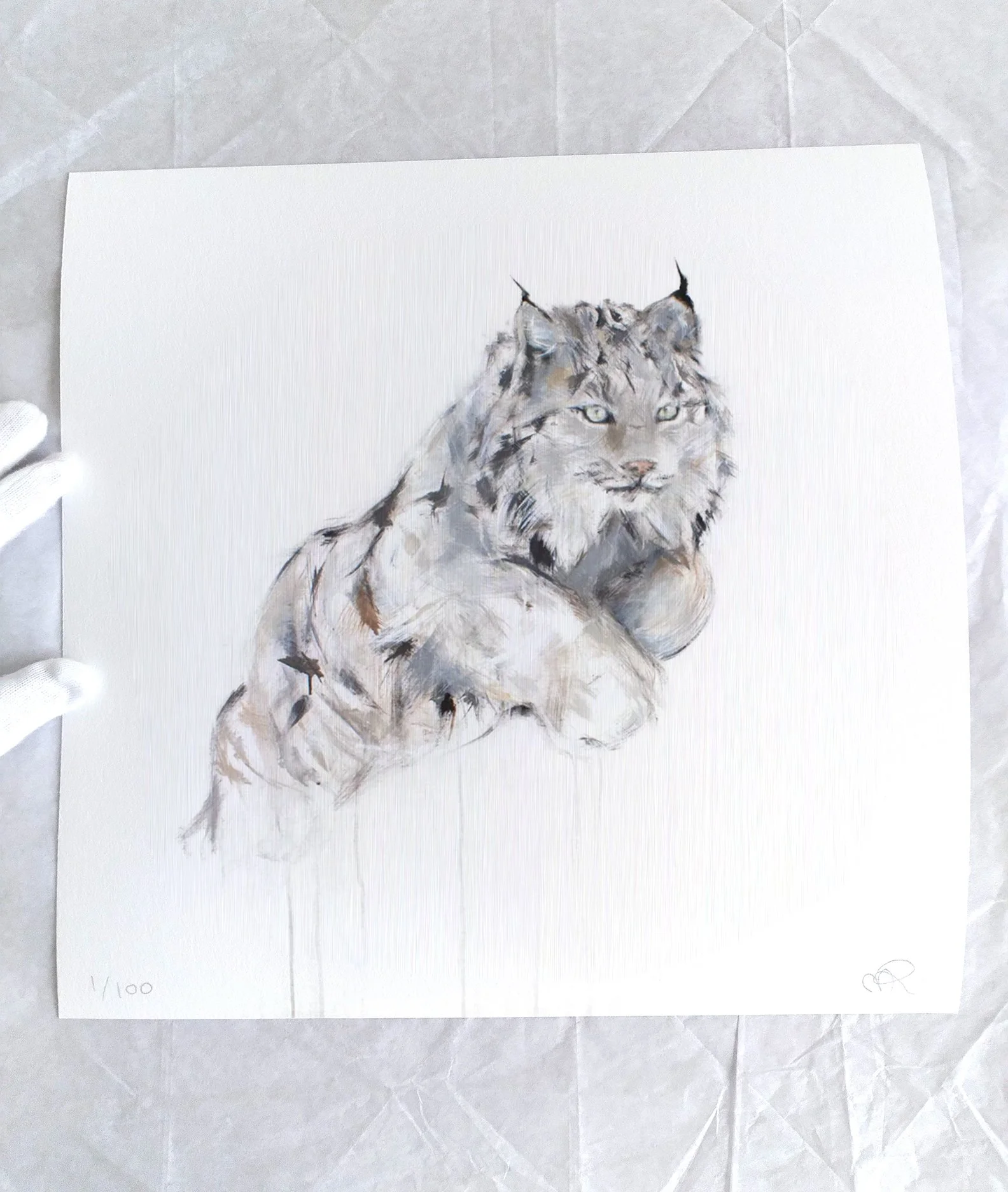 Lynx+II_printiamge3.jpg