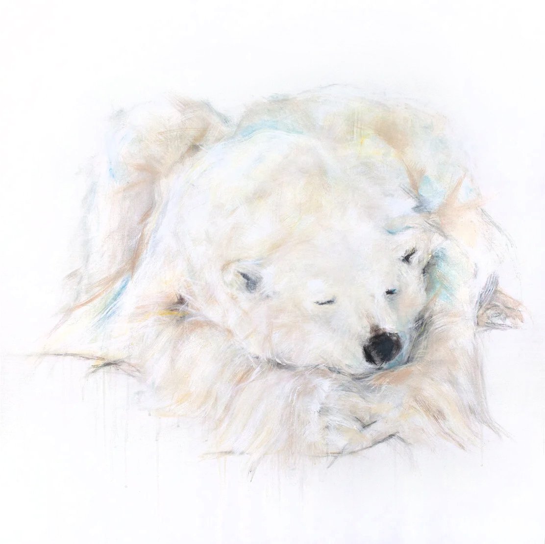 Polar+Bear+XXV_printimage.jpg (Copy)