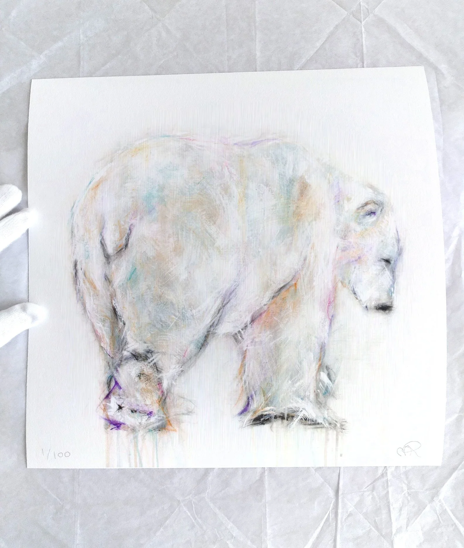 Polar+Bear+XXXVIII_printimage3.jpg