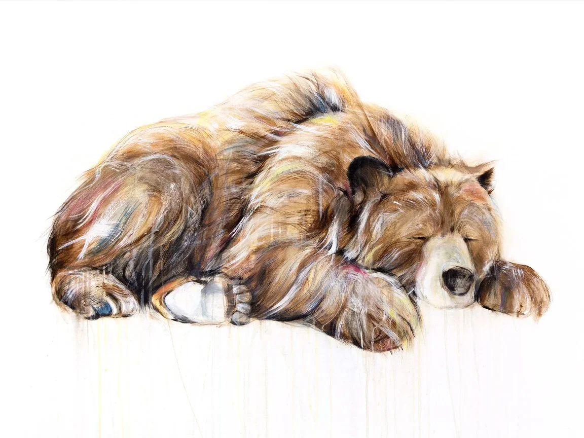 Grizzly+Bear+XVII_printimage.jpg (Copy)