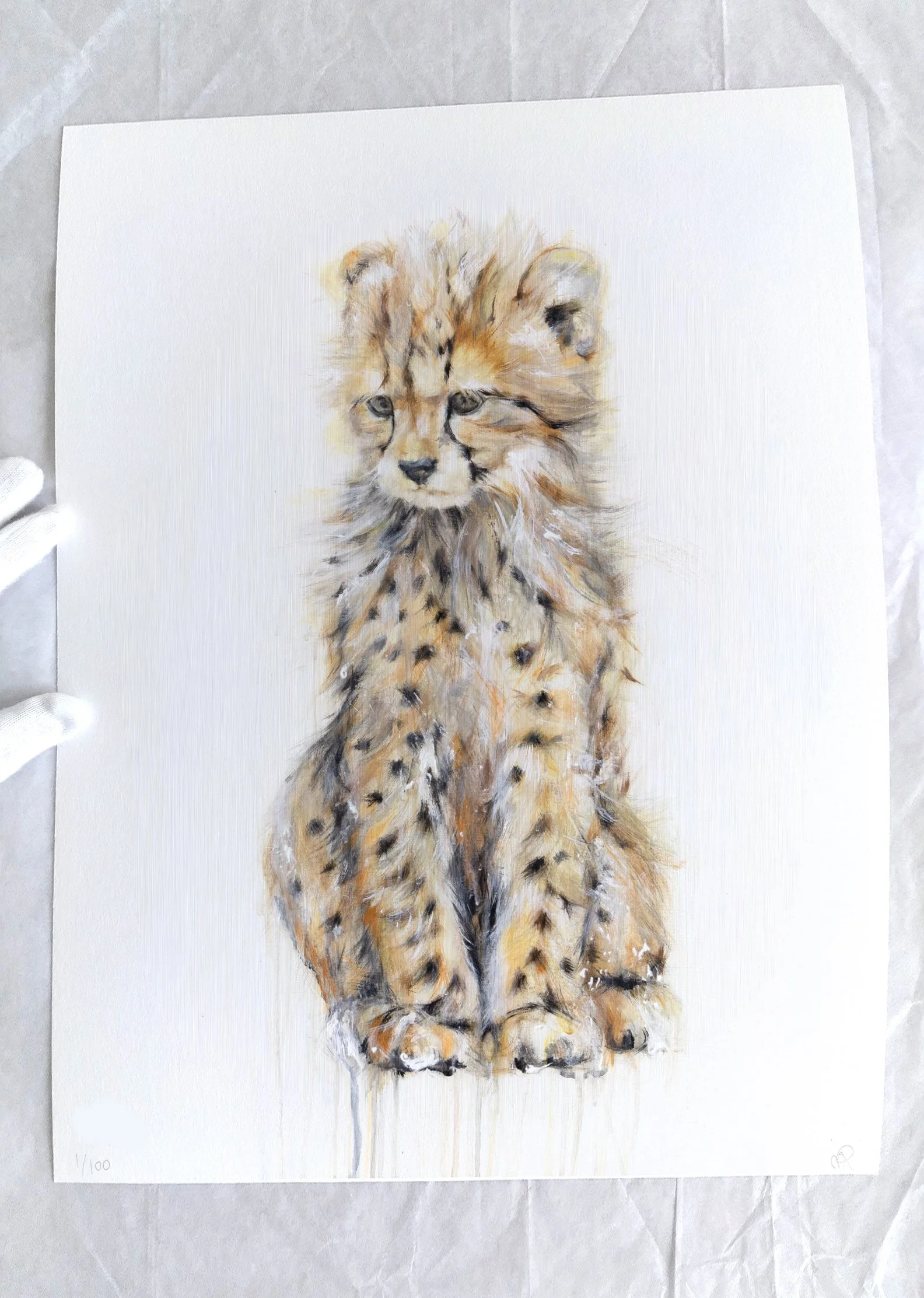 Cheetah_printimage444.jpg