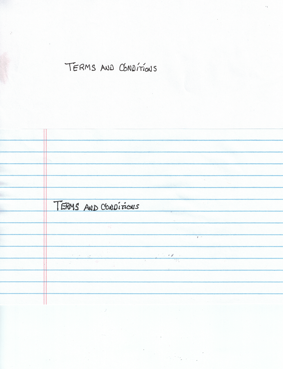 Terms&Conditions.jpg