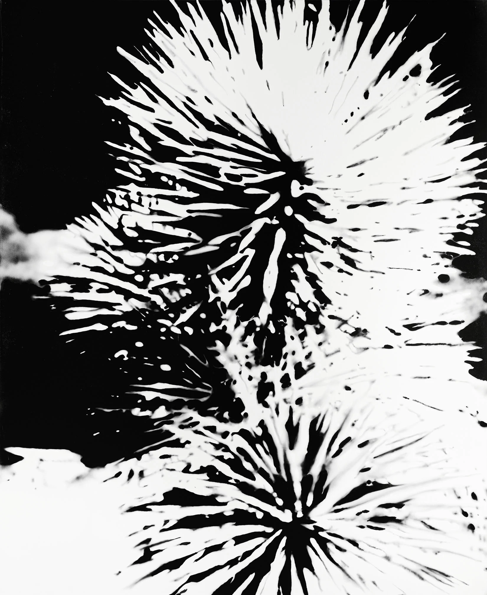 Joshua_tree_crop_web.jpg