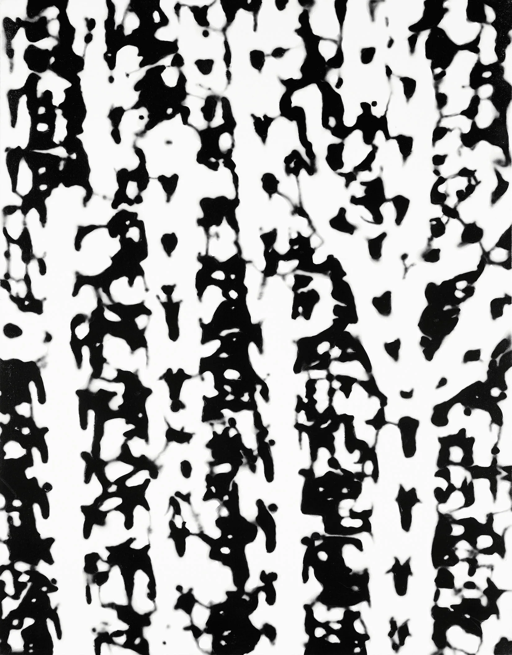 kyle_deLotto_cactus1_crop_web.jpg