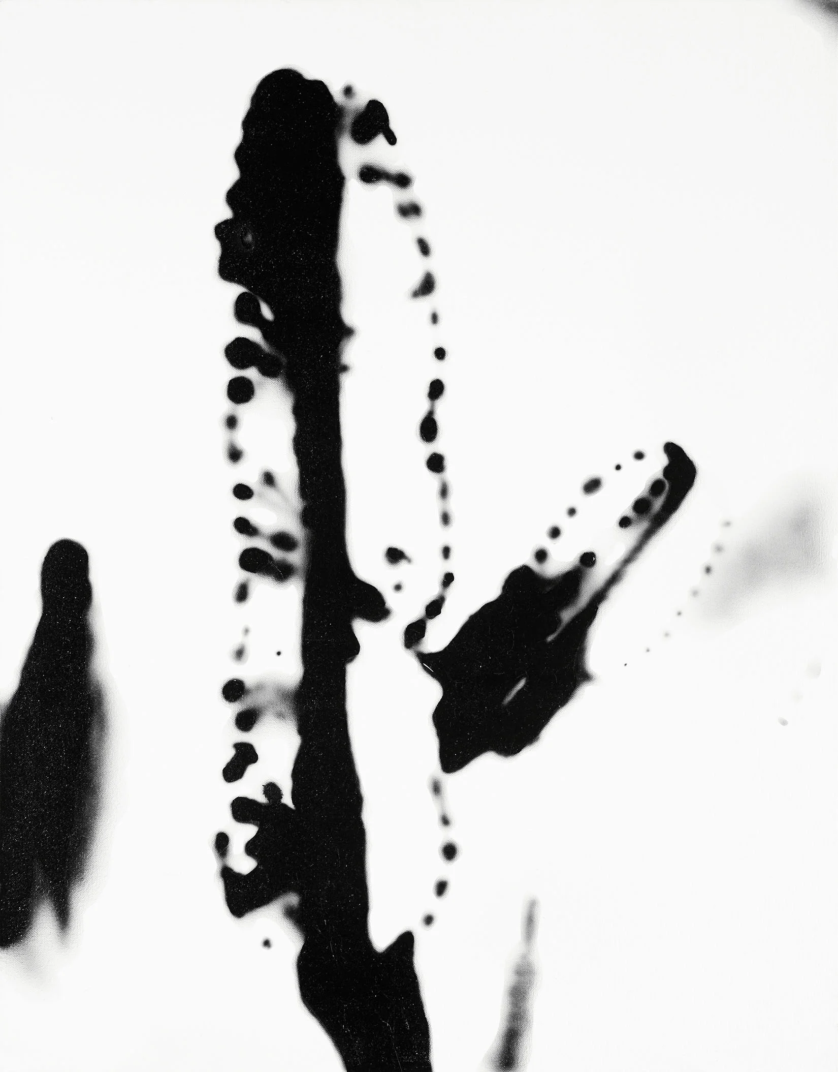 kyle_delotto_cactus02_crop_web.jpg