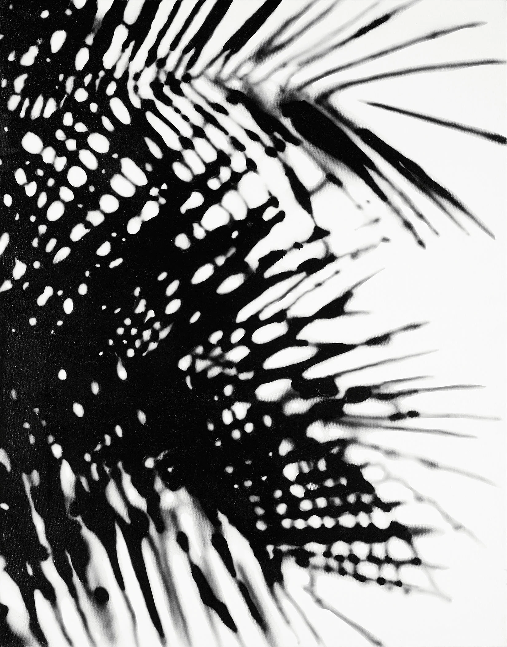 Kyle_DeLotto_Frawn_Shadow_crop_web.jpg