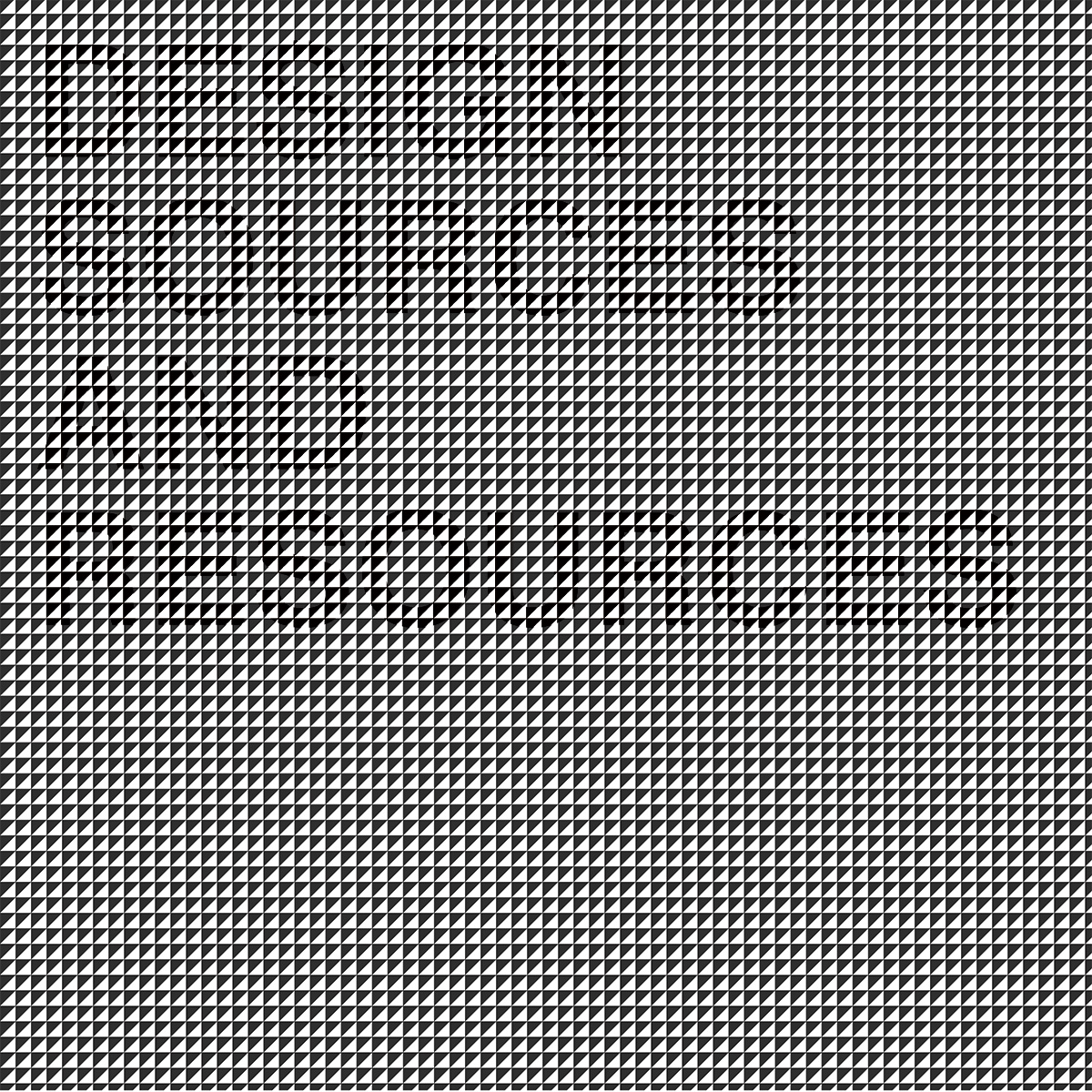 typeexp1.jpg