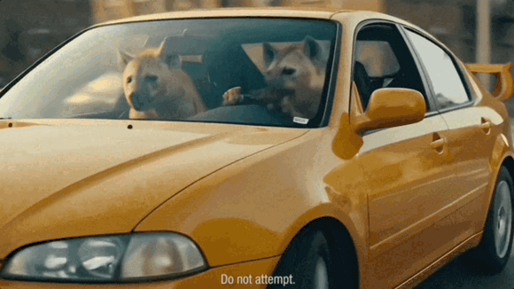 Progressive - DriveLikeanAnimal GIF 1080.gif.sb-66d84e72-oIx6On.gif