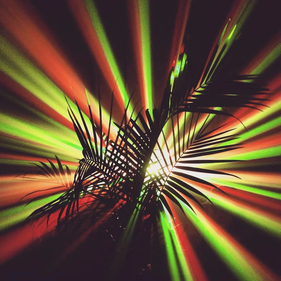 Wiggle Room Presents: "A night out with Terry Radio"