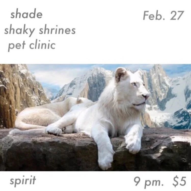 SHADE // SHAKY SHRINES // PET CLINIC