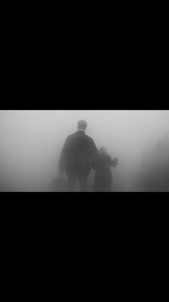 Pet Clinic / Shaky Shrines / High Waisted