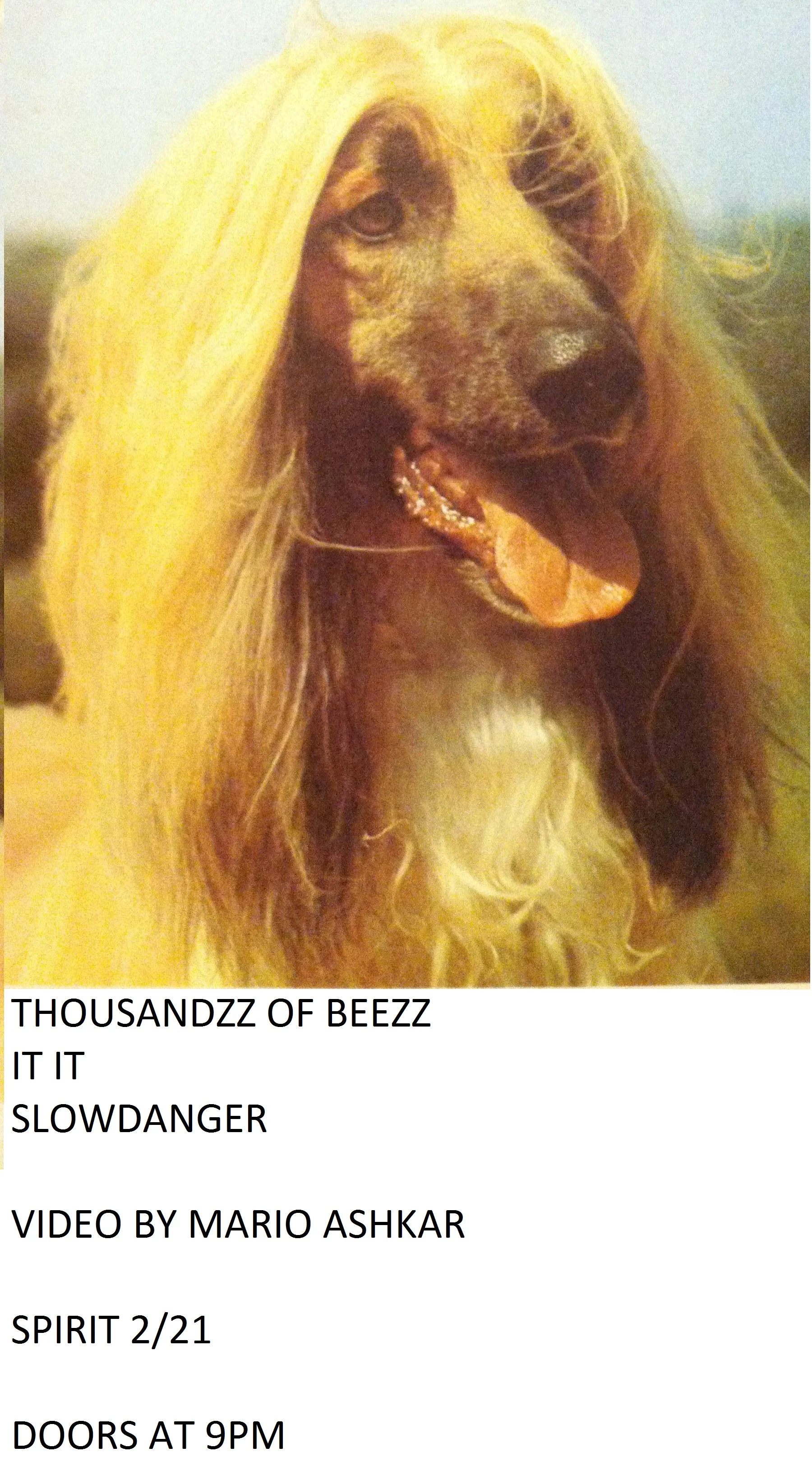It It, Thousandz of Beezz, and Slowdanger