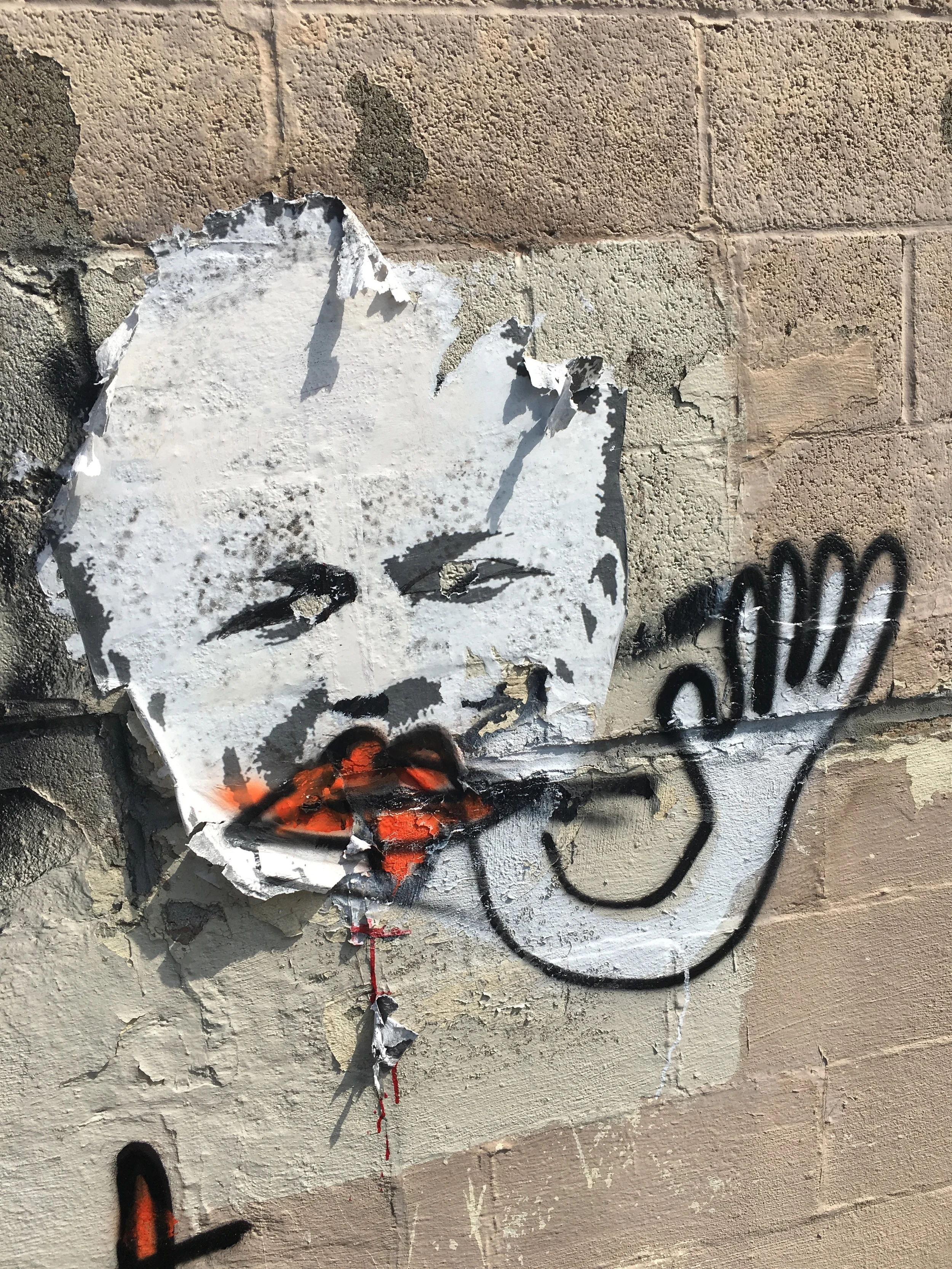 Wild Kindness Toasted Sessions Launch Party