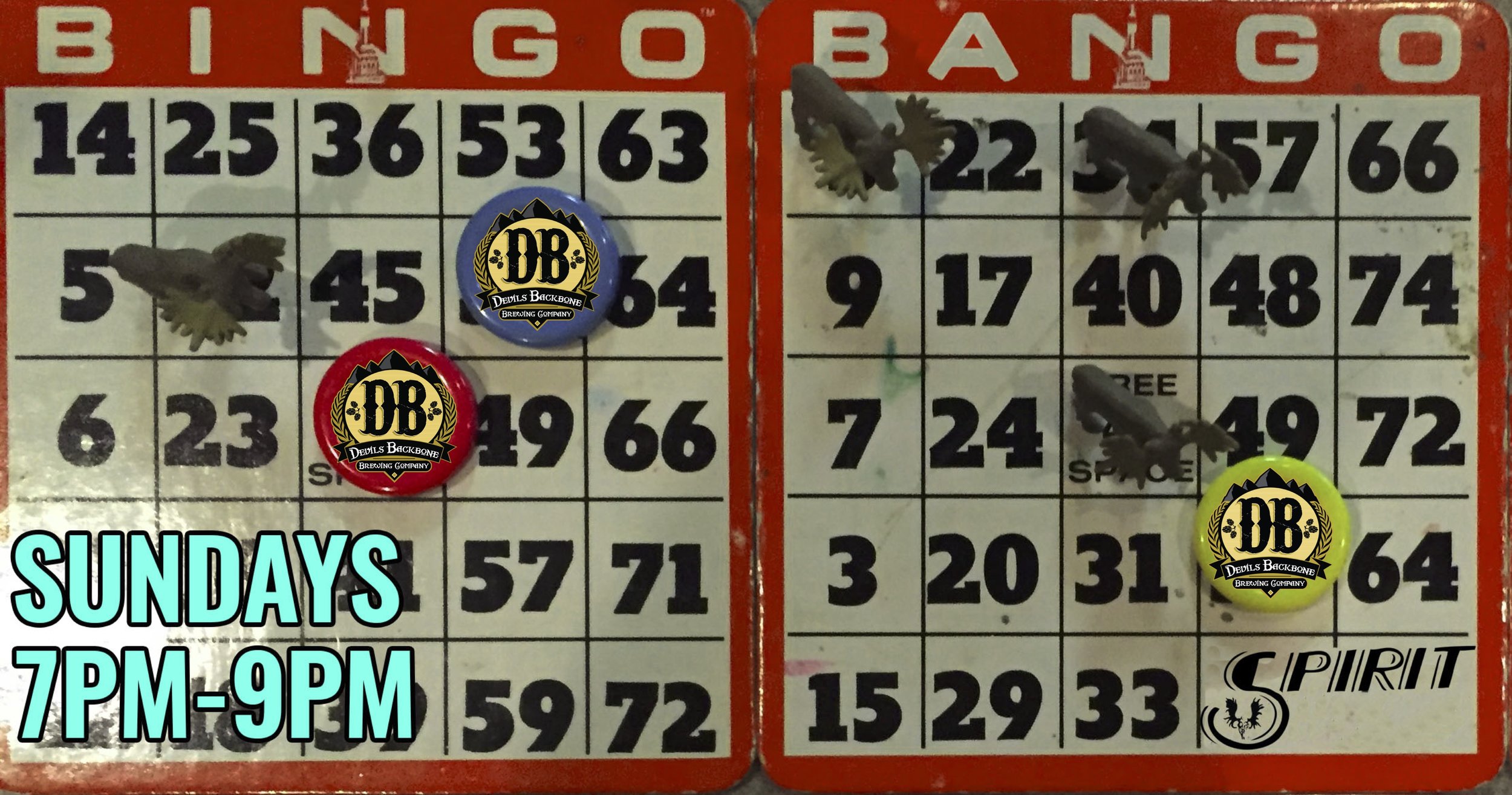 Bingo Bango