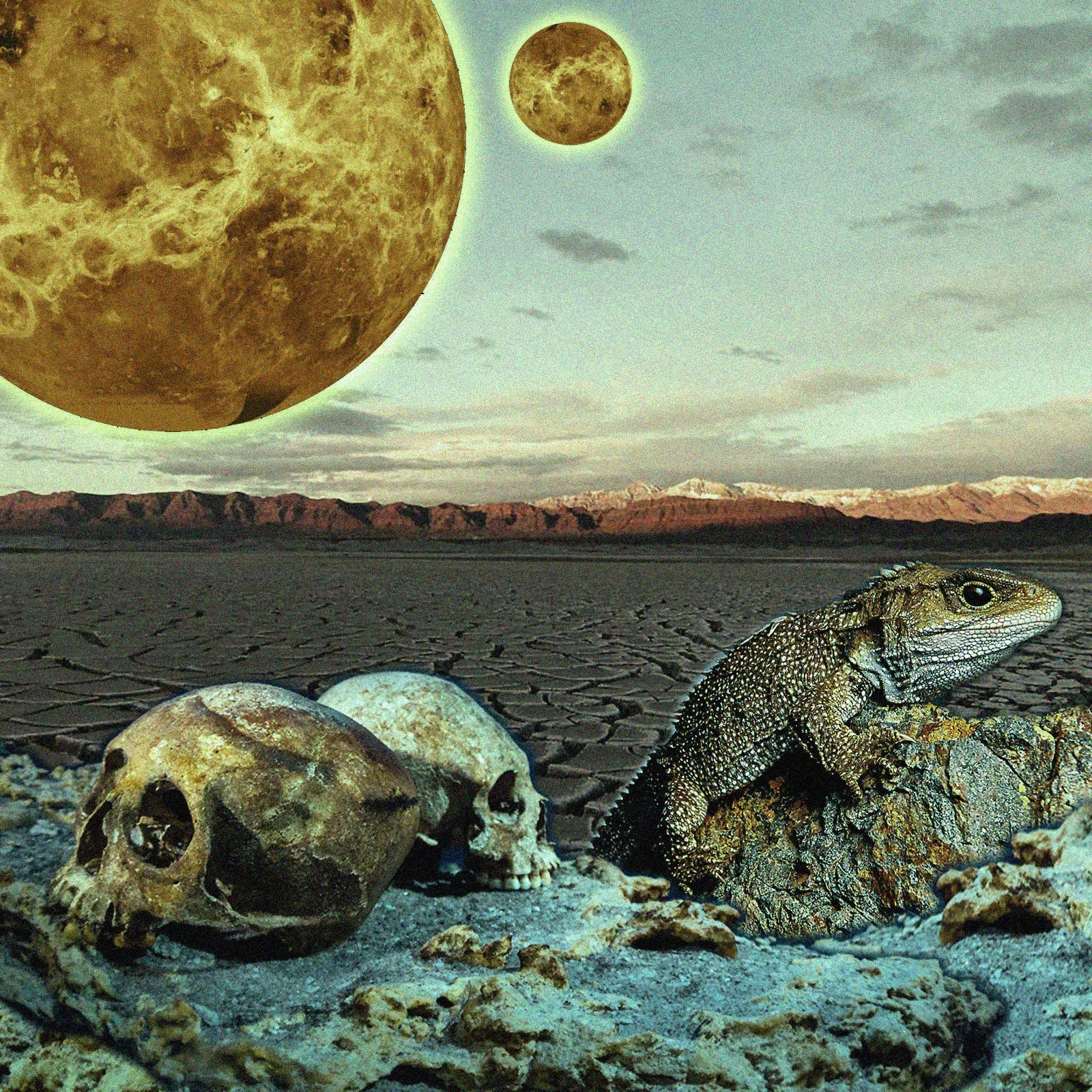 Lodge: Aloe, Tanning Machine, Skeletonized, Echo Lightwave Unspeakable