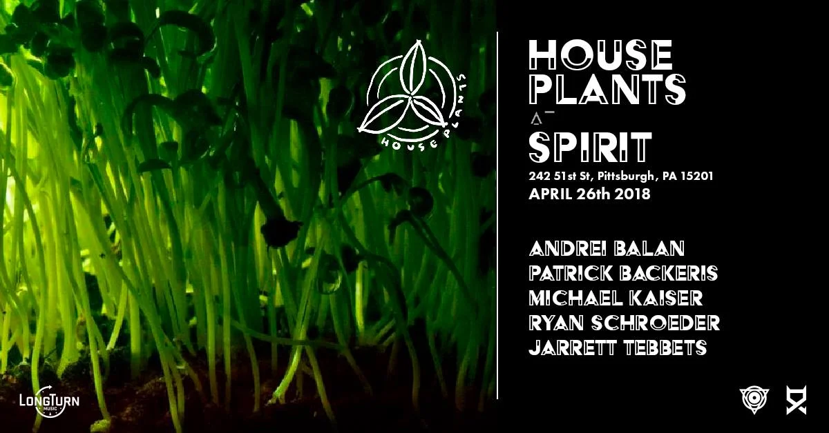 Lodge: House Plants