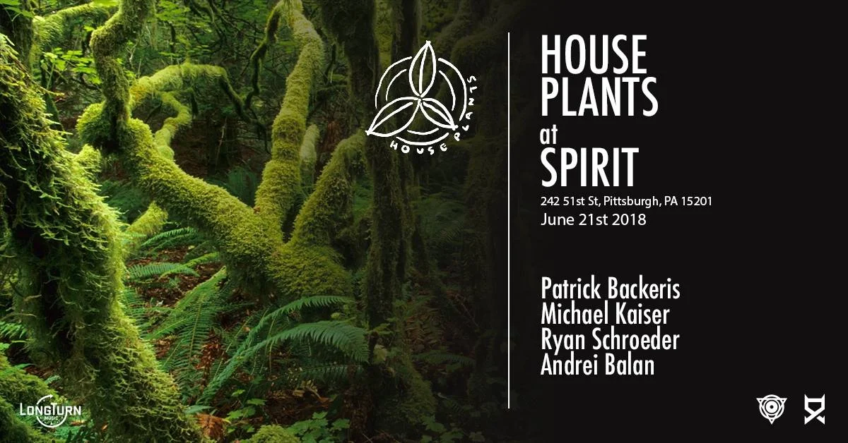 Lodge:  House Plants 