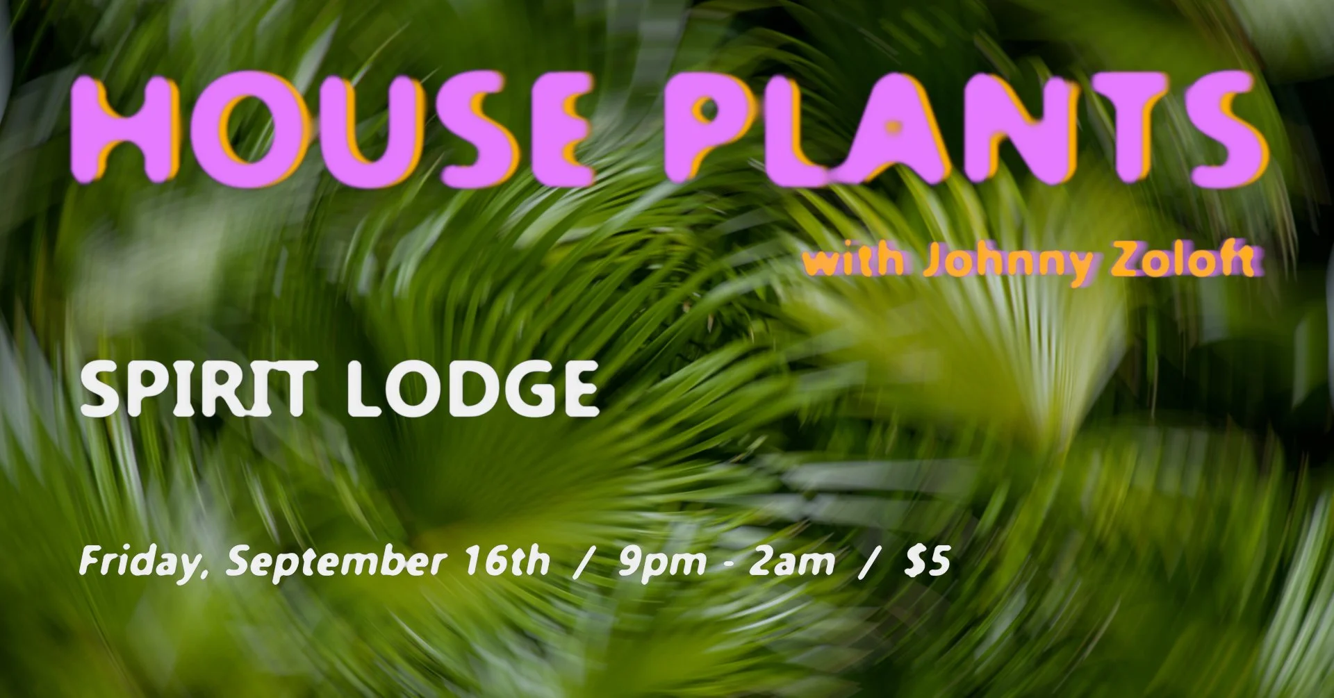 Lodge: House Plants