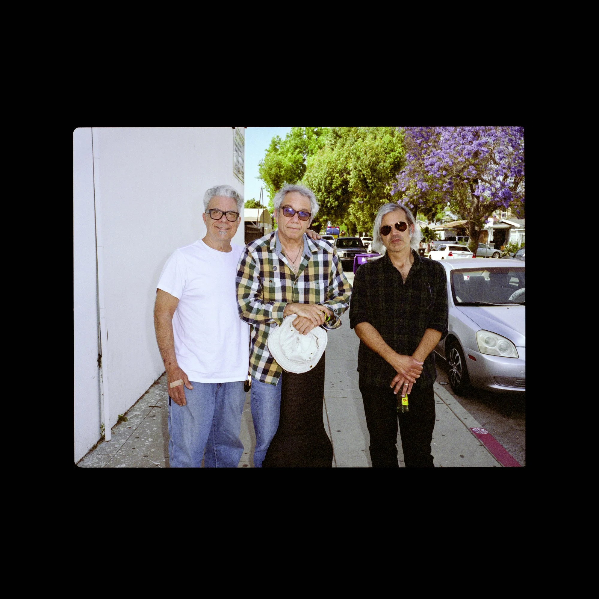 mssv (mike baggetta + stephen hodges + mike watt)