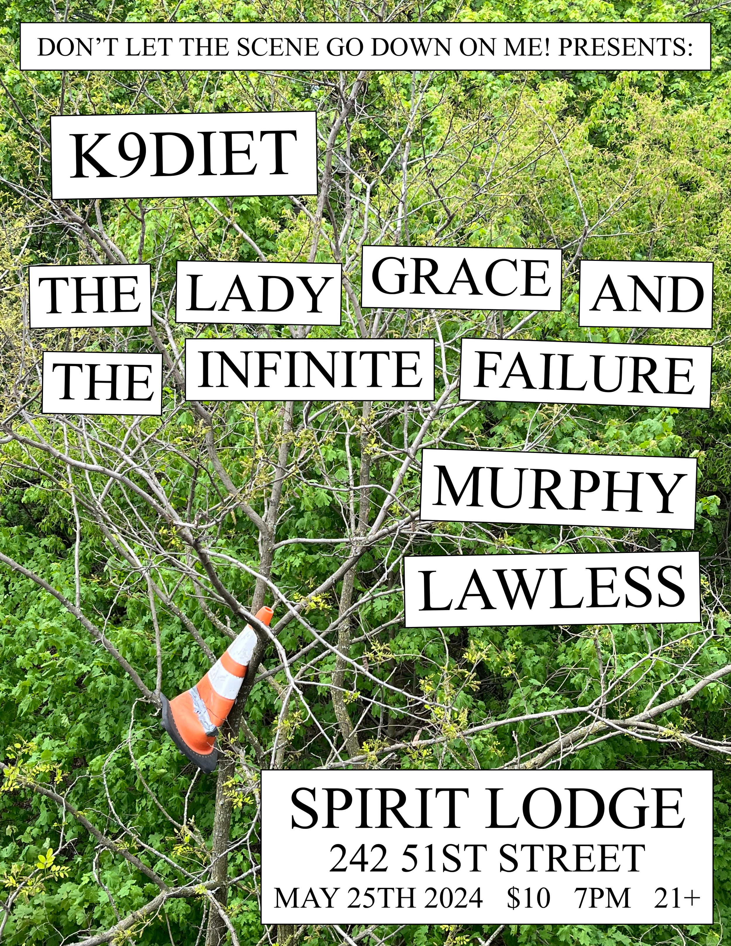 K9Diet, The Lady Grace and The Infinite Failure, and Murphy Lawless