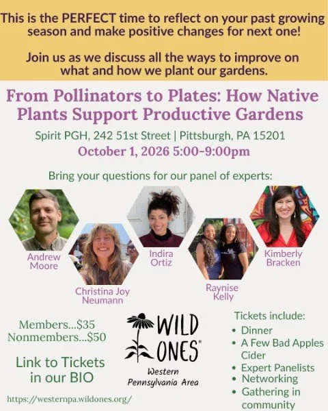 From Pollinators to Plate: How Native Plants Support Productive Gardens