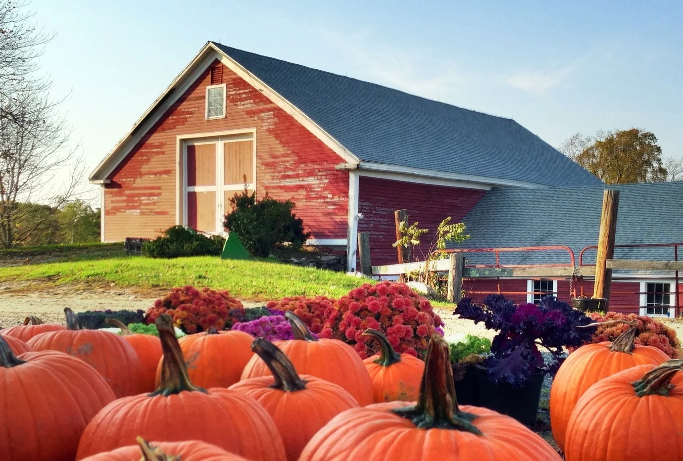 History Nourse Farm