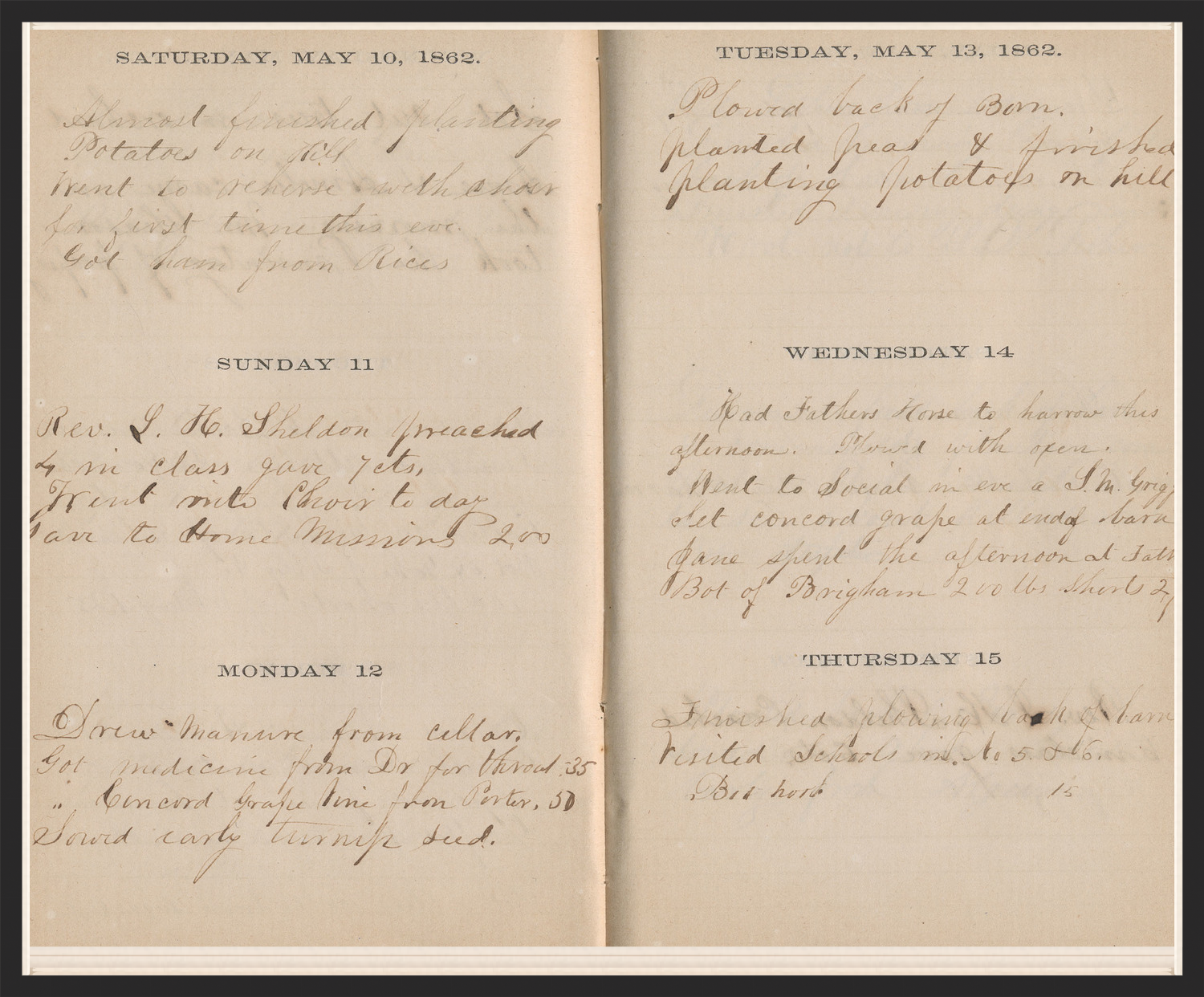 A Page from Benjamin Nourse's Journal - 1882