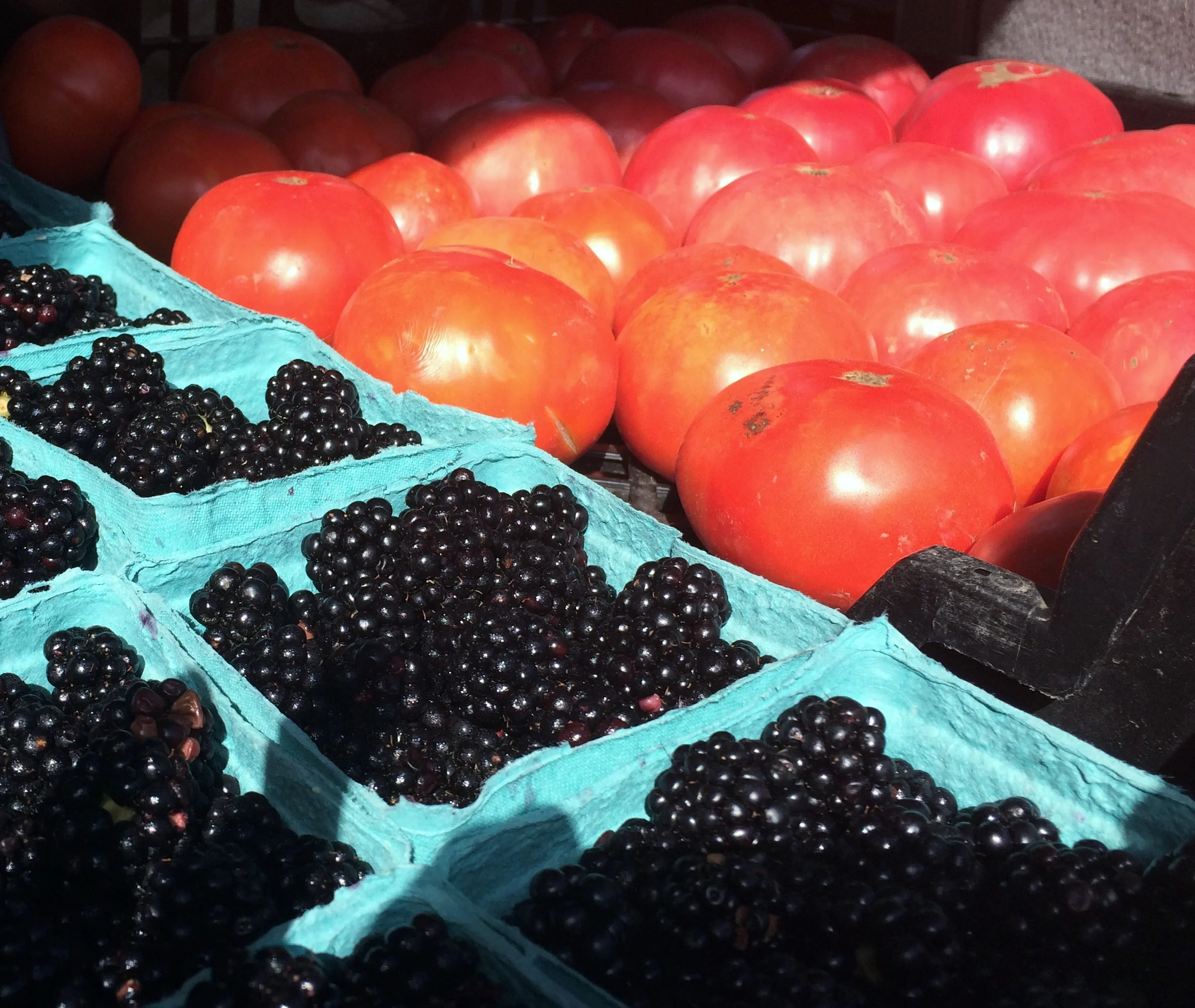 Other Ways to Show the Love in February:  Heart Health and CSA Day!