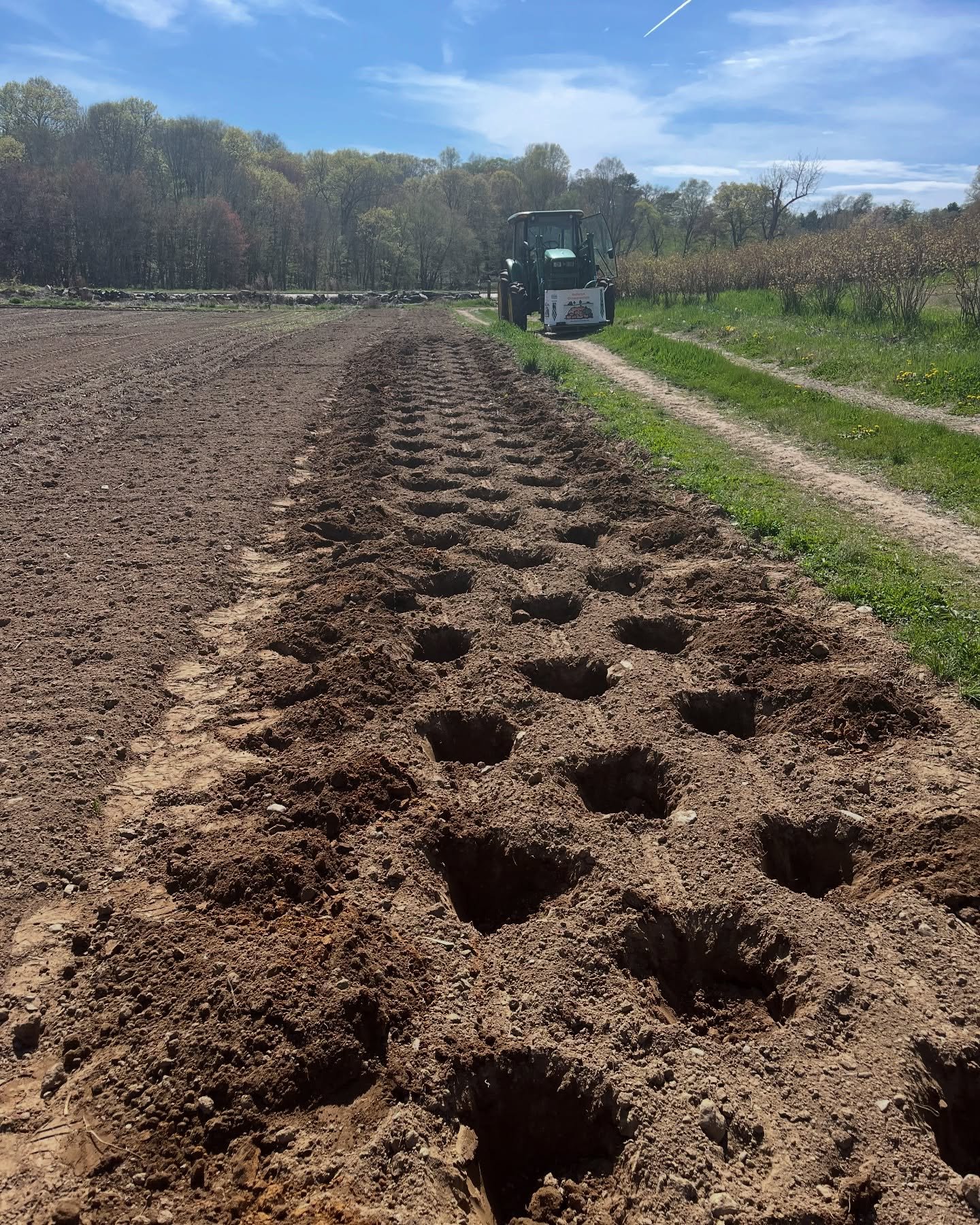 #dahlias going in&hellip; Swipe through so you can see what they grow into by August, September and October&hellip; Our Dahlias, especially our bronze colored ones, are pretty fantastic. #DahliaSeason #Planting #FarmLife #GiveFlowers #noursefarm