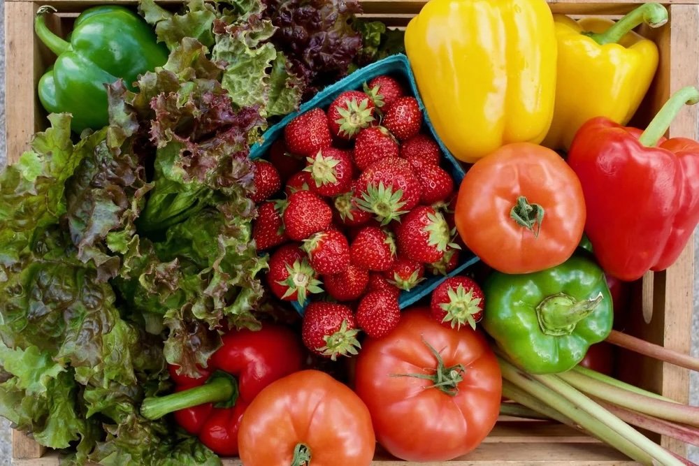 Fruits and Vegetables Galore—Helping Kids (and Their Parents) Eat More!  
