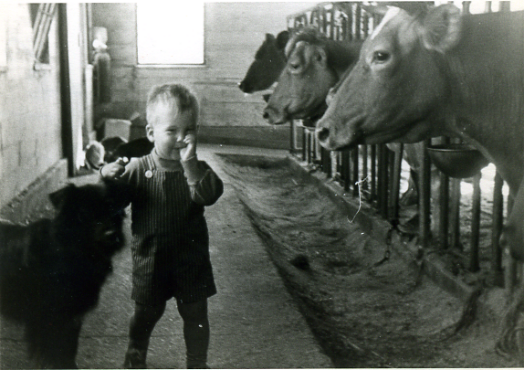 Nourse Farm: Over 300 Years of History, Innovation, and Community in Westborough, Massachusetts