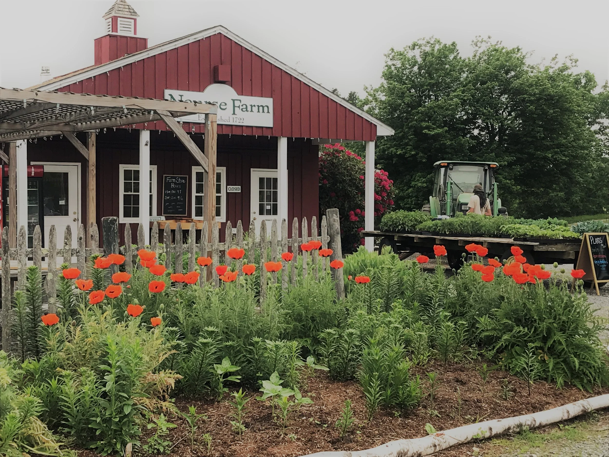 Farm Store With Flowers - Landscape.jpg