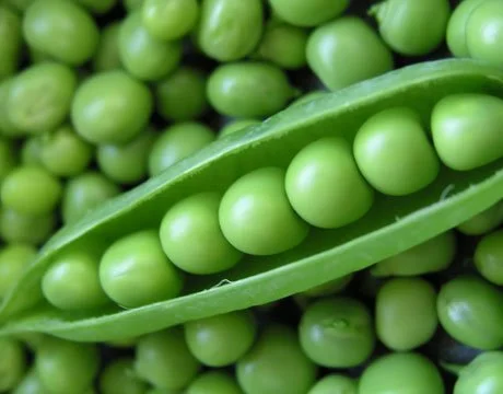 Fresh-Peas.jpg