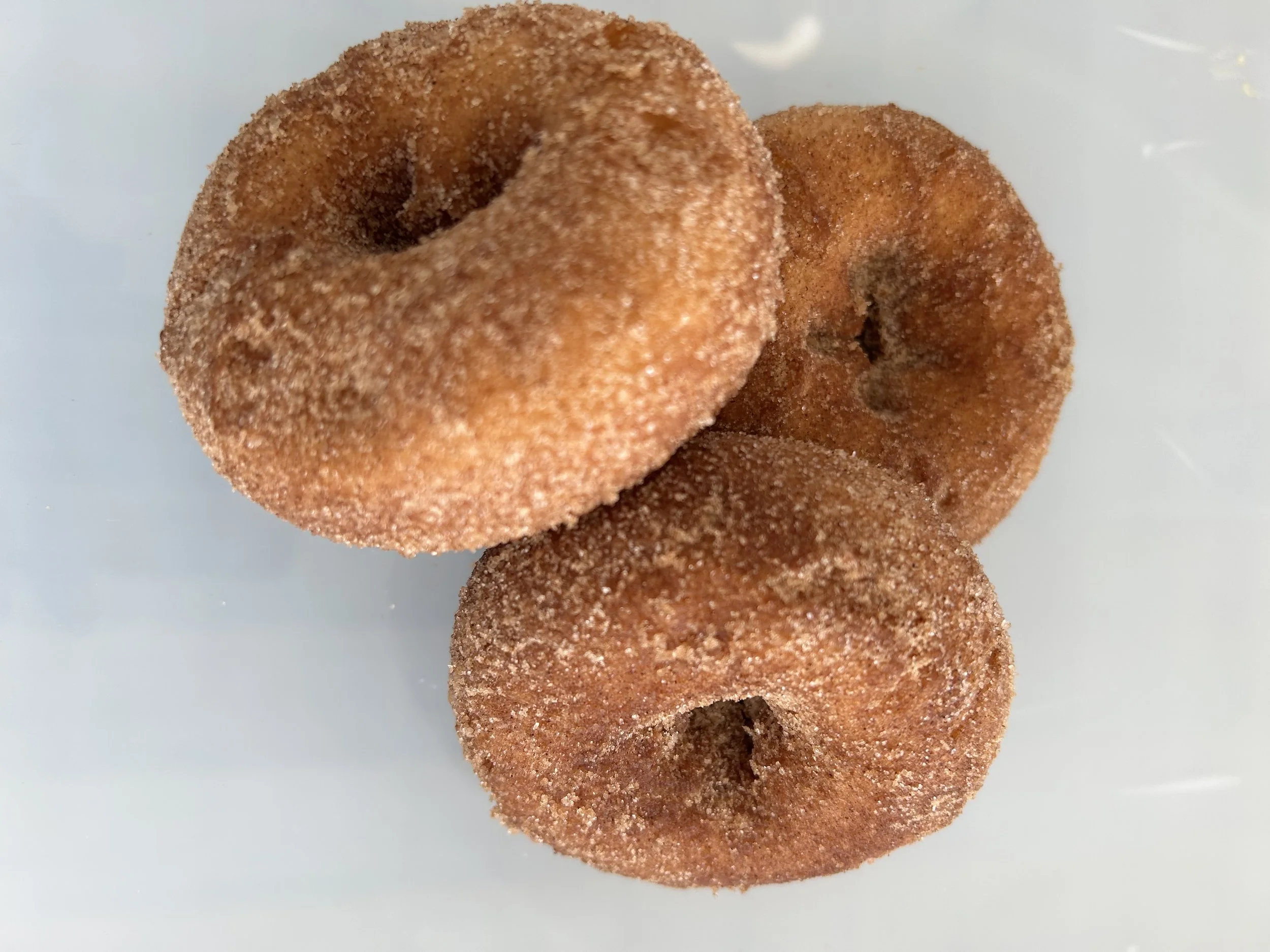 Photo Oct 03 2025, 9 52 34 AM (1).jpg