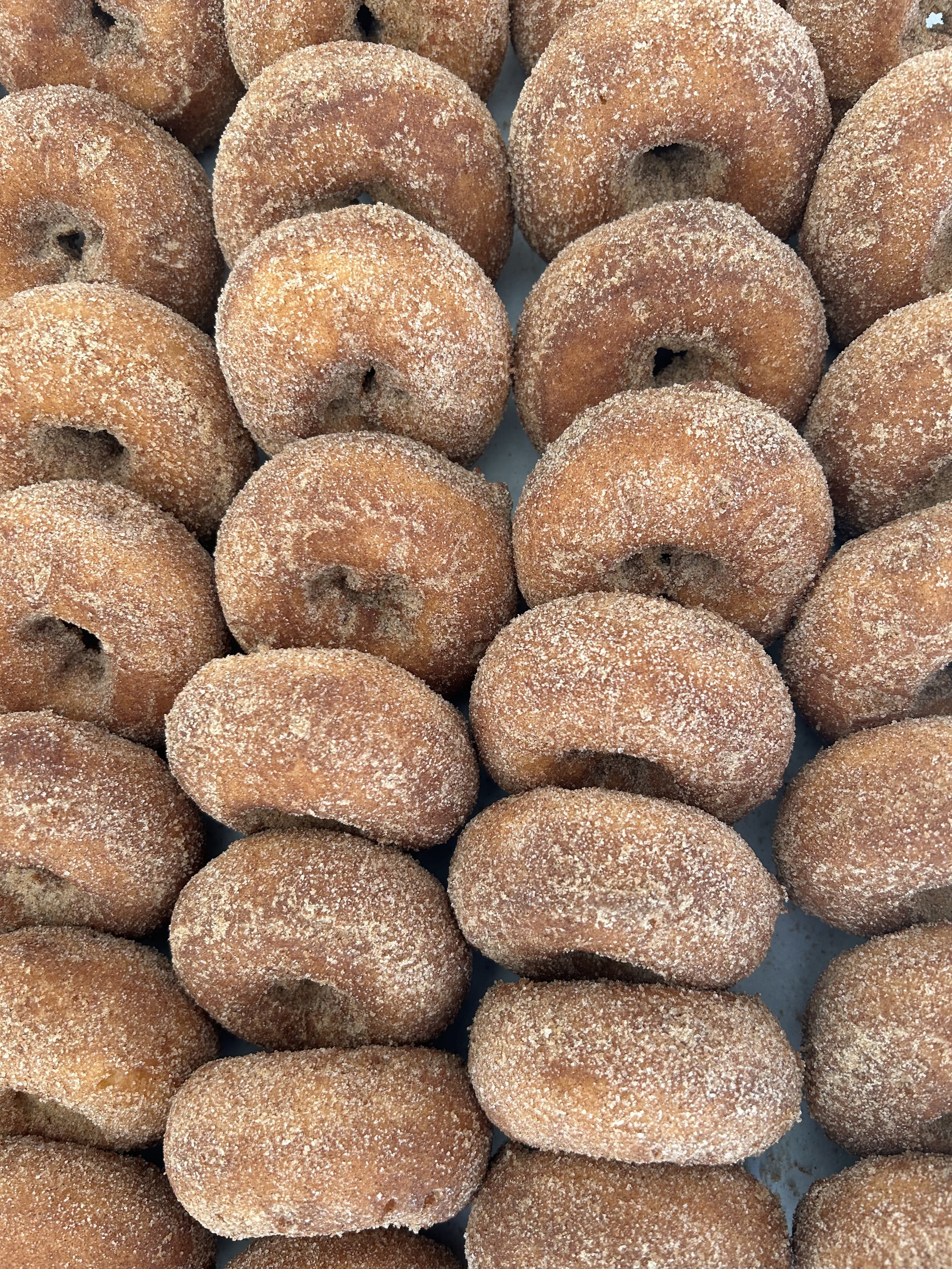 Photo Oct 03 2025, 9 52 09 AM.jpg