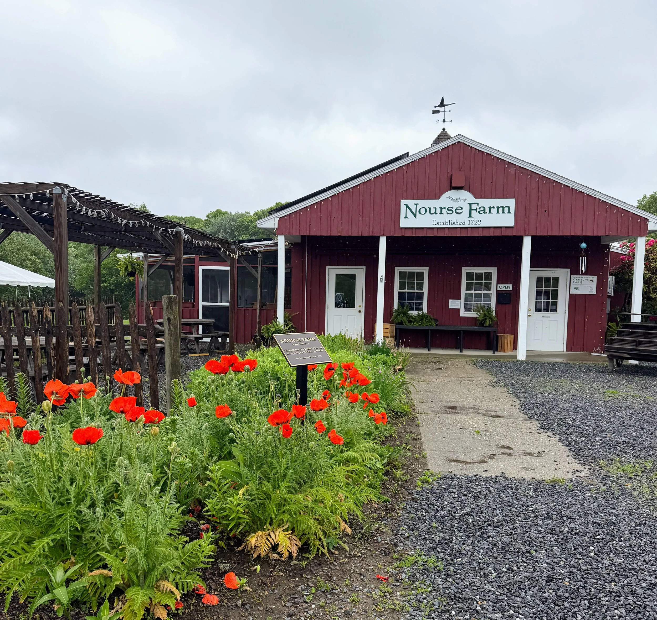 Niranjana: This red barn rests in a field of color, with bright poppies leading the way.