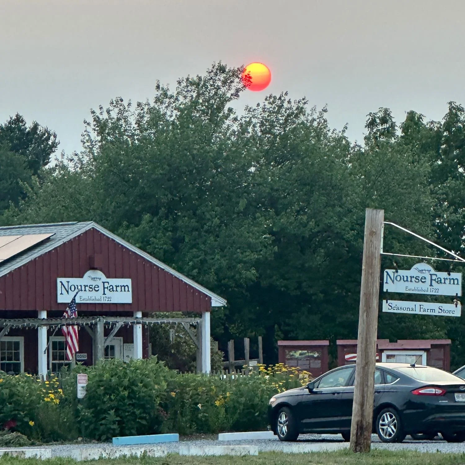 Sundown & Slices at Nourse Farm: A Summer Evening on the Farm