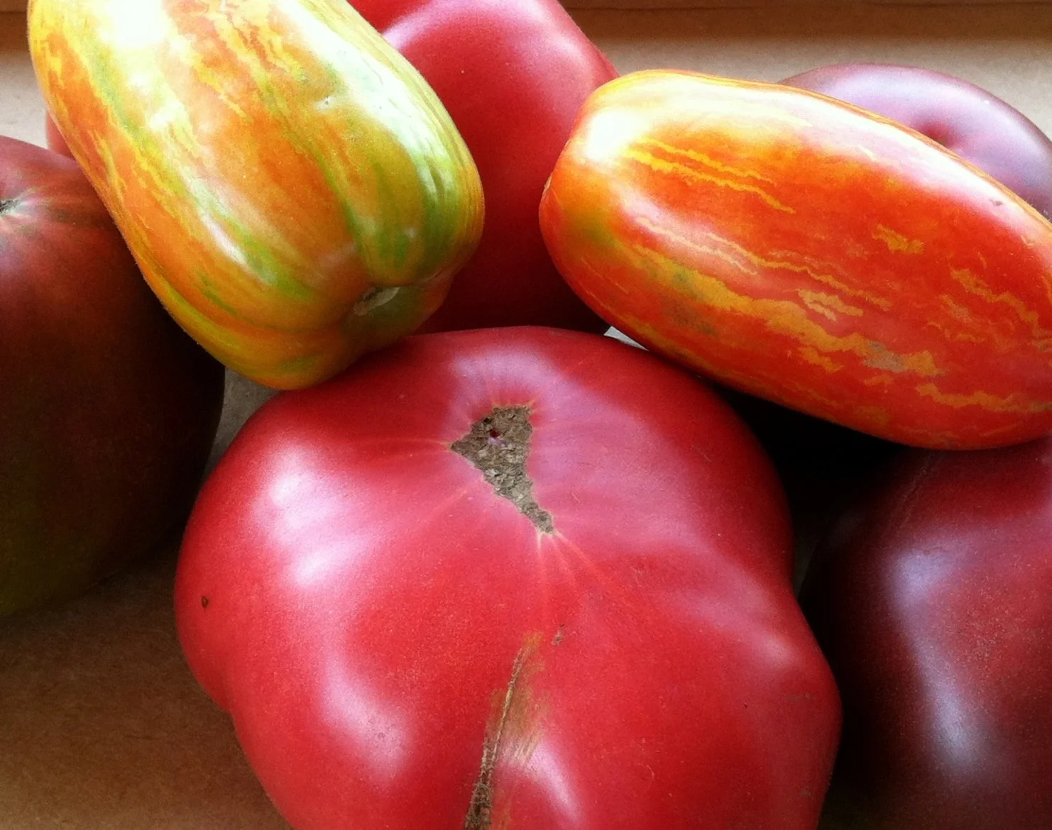 Heirloom Tomatoes: What Makes Them So Special? A Complete Guide to Nature's Most Flavorful Tomatoes