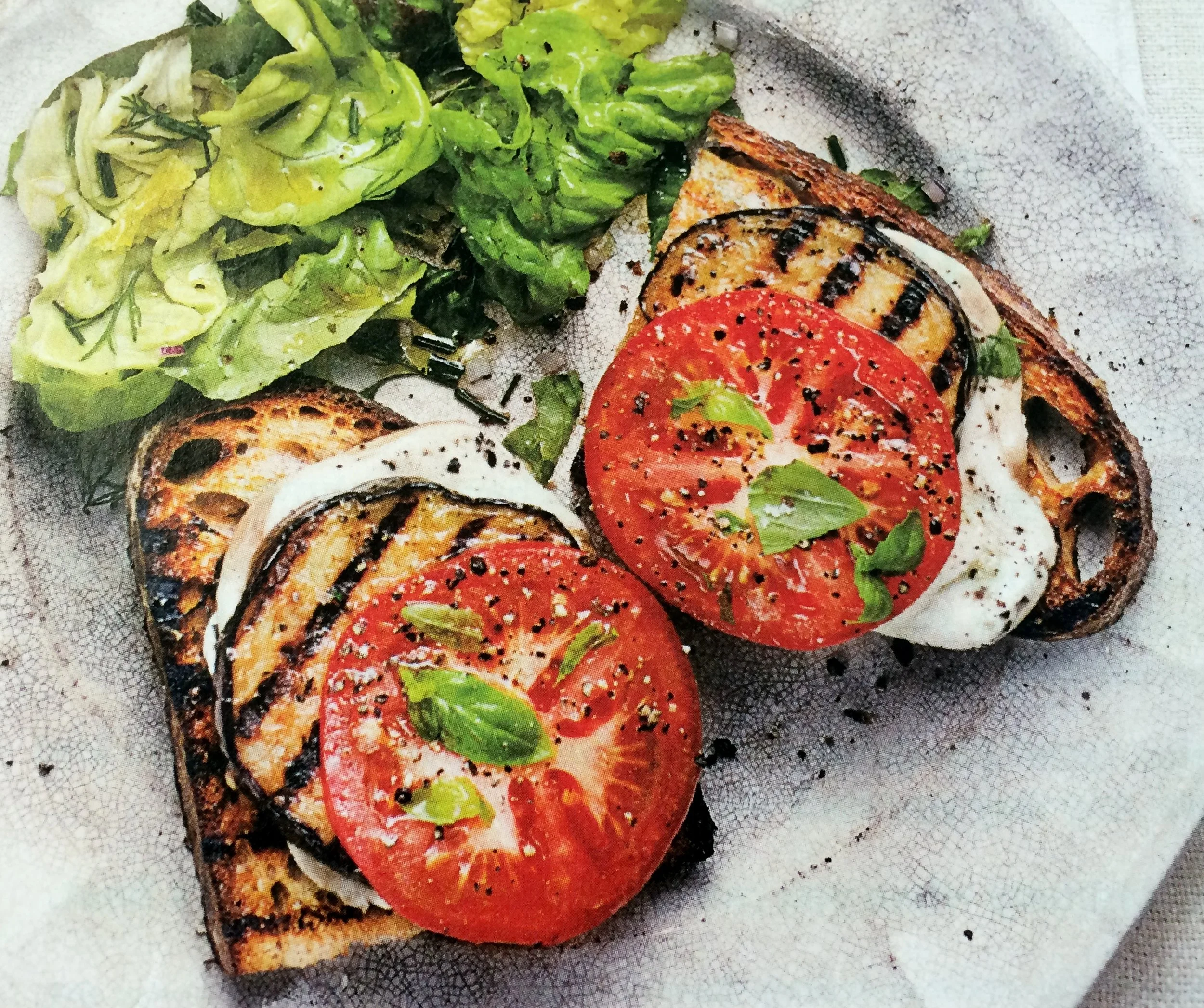 Eggplant: From Ancient Roots to the Summer Garden