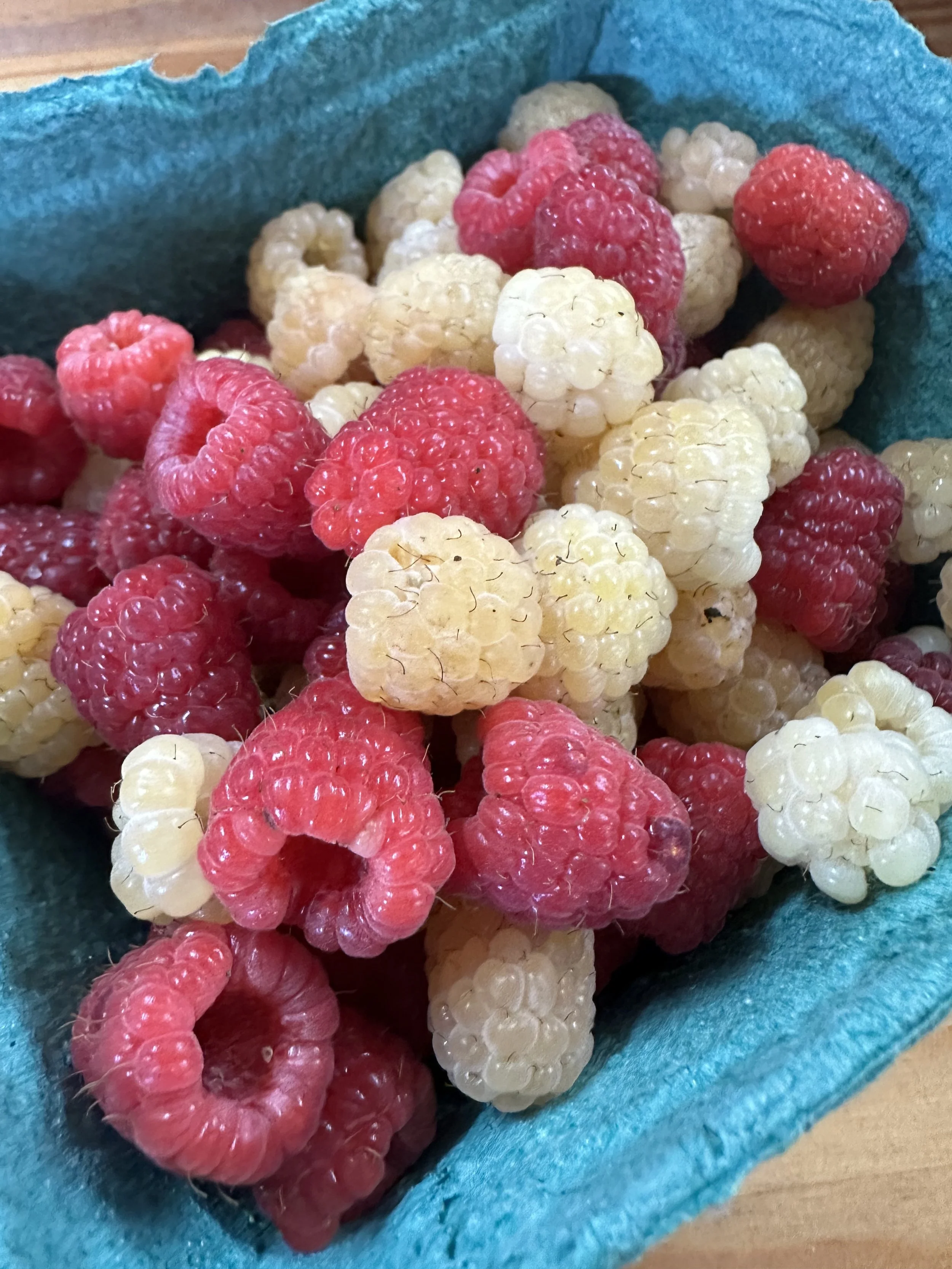 Golden Raspberries: The Sweet Little Berry You May Not Know